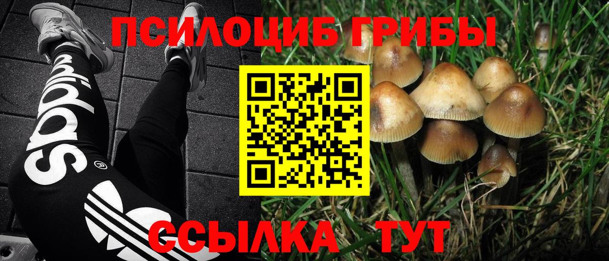 Северодвинск  Галлюциногенные грибы мицелий  продажа наркотиков  Вход с VPN 