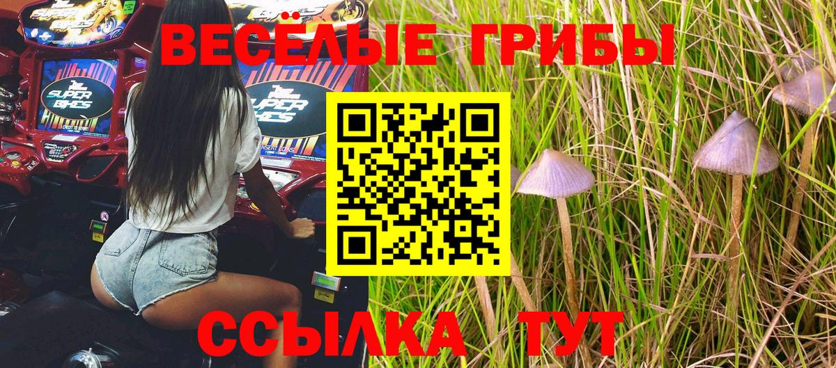 Галлюциногенные грибы MAGIC MUSHROOMS Северодвинск
